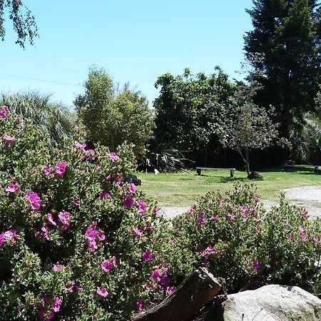 Fernwood Holiday Park Motueka Ruang foto