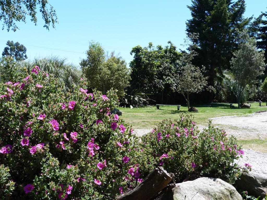 Fernwood Holiday Park Motueka Ruang foto